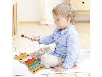 Set 5 instrumente muzicale din lemn Fisher-Price