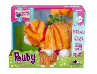 Noriel Pets - Pisicuta Ruby