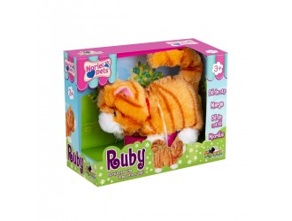 Noriel Pets - Pisicuta Ruby