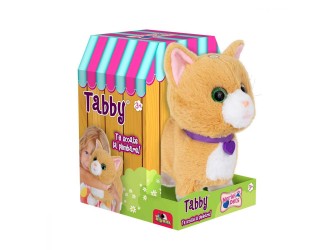 Noriel Pets - pisicuta Tabby