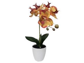 Orhidee artificiala galben-roz inchis in ghiveci 37 cm PEVA, ZJA361813