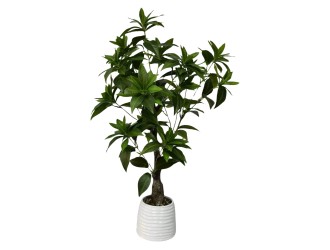 Planta artificiala Pieris in ghiveci 68 cm, ZJA361827