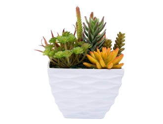 Aranjament plante suculente artificiale in ghiveci 22,5 cm, ZJA361805