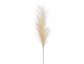 Tulpina Pampas artificiala, crem, 115cm