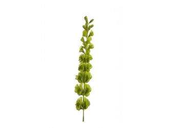 Ramura artificiala Molucella, verde, 80cm