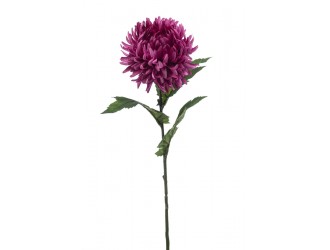 Crizantema paianjen artificiala, mov, 57 cm